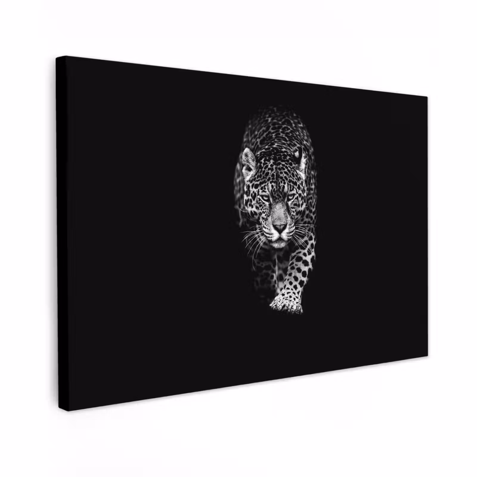 Canvas schilderij - Dieren - Zwart - Luipaard - Wit - Wild — 1