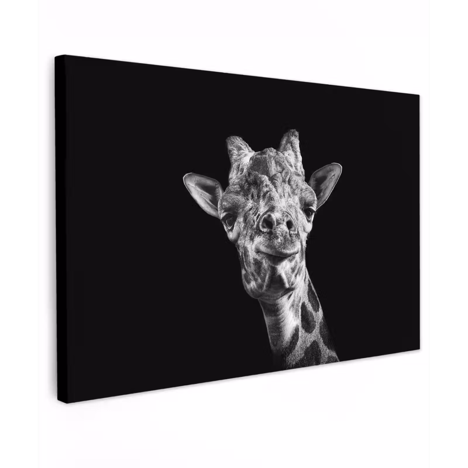 Canvas schilderij - Giraffe - Dier - Zwart - Wit — 1