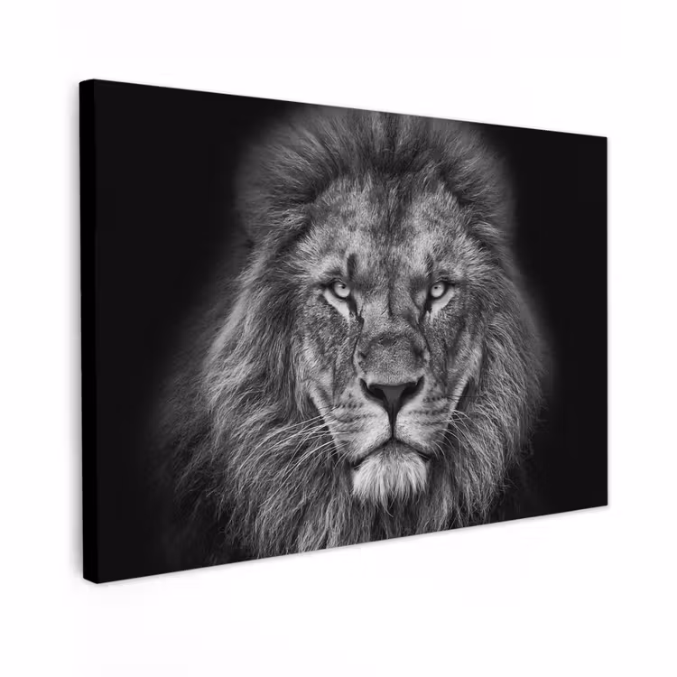 Canvas schilderij - Dieren - Leeuw - Zwart - Wit - Portret — 1
