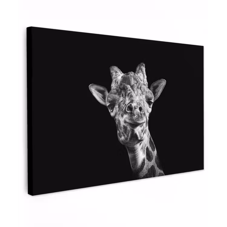 Canvas schilderij - Giraffe - Dier - Zwart - Wit — 1