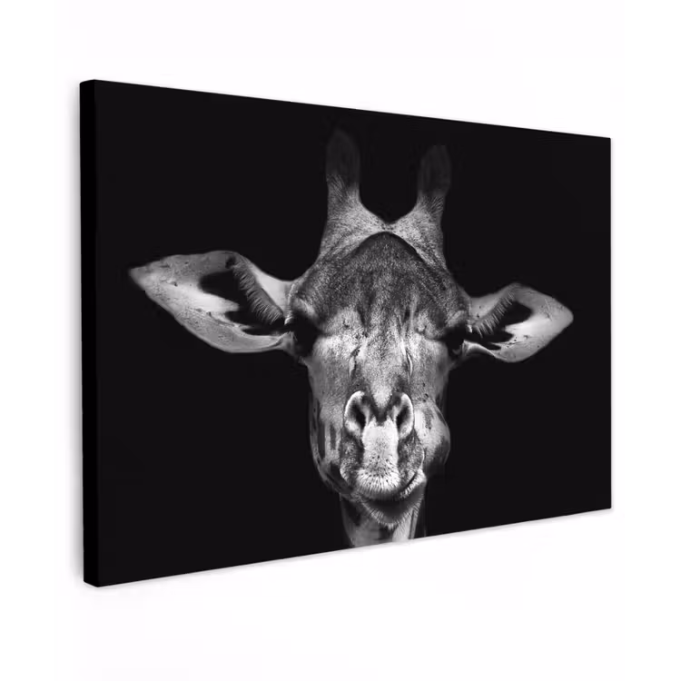Canvas schilderij - Giraffe - Portret - Dieren - Zwart - Wit — 1