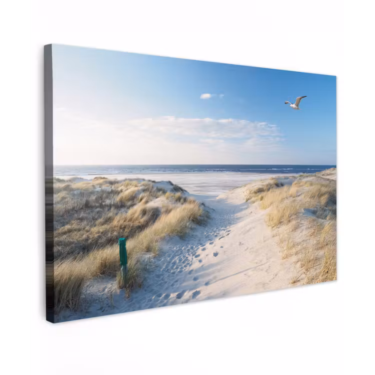 Canvas schilderij - Duin - Meeuw - Strand - Zee - Zon — 1