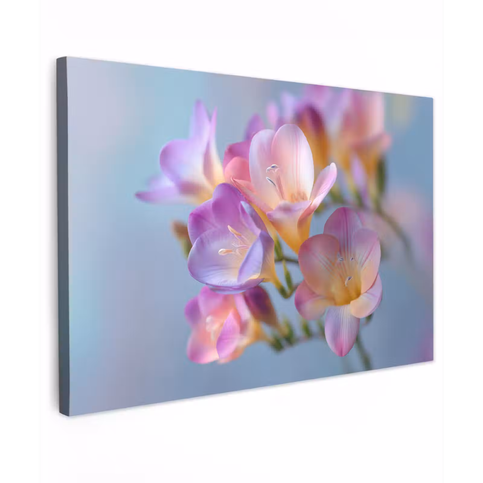 Canvas schilderij - Bloemen - Paars - Overloop - Meeldraden — 1