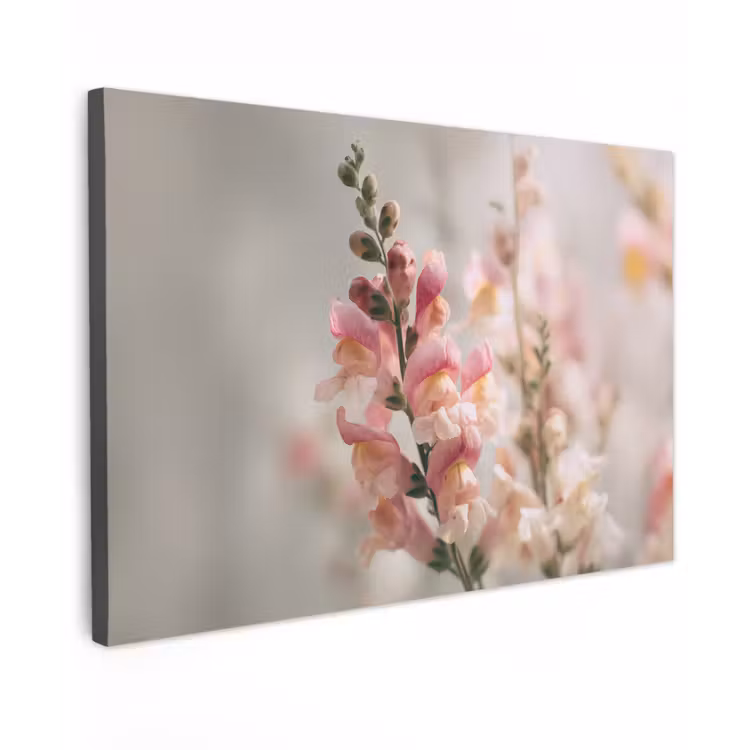 Canvas schilderij - Bloem - Leeuwenbek - Roze - Stengel — 1