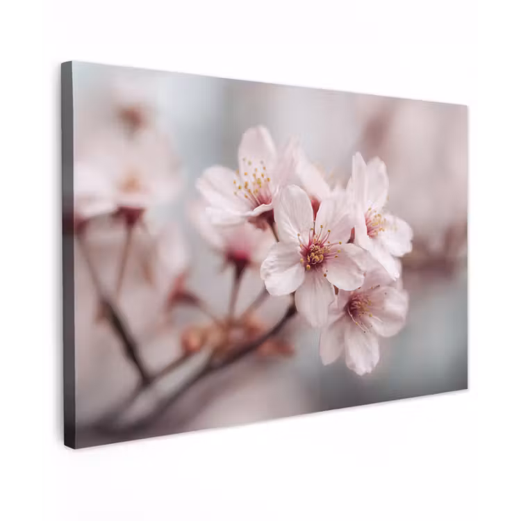 Canvas schilderij - Bloesems - Meeldraden - Geel - Wazig — 1