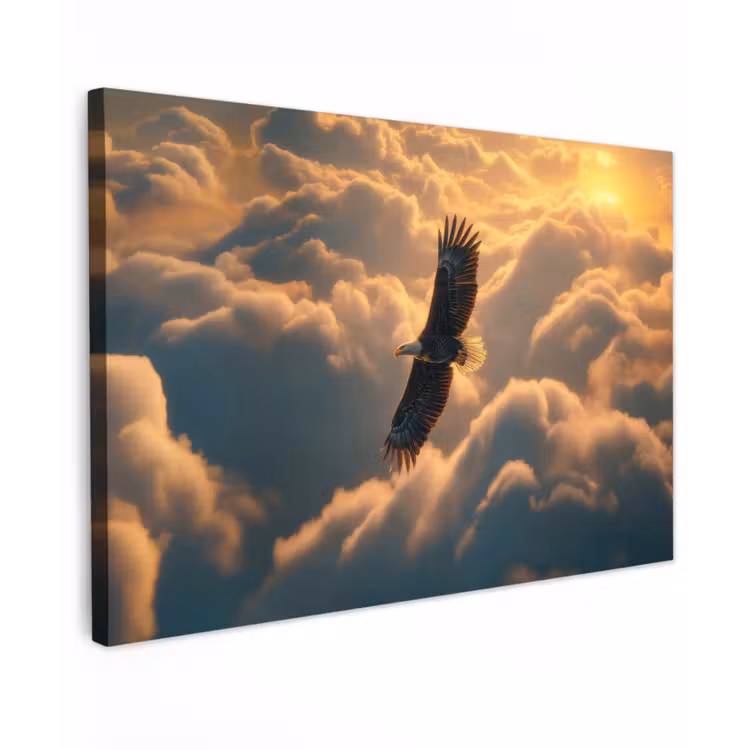 Canvas schilderij - Adelaar - Wolken - Zon — 1