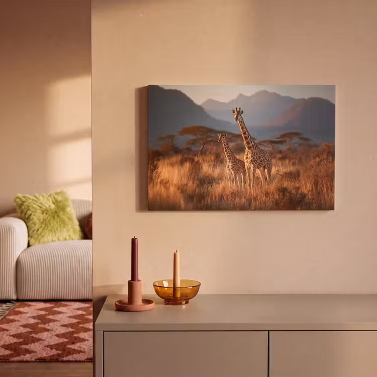 Canvas schilderij - Giraffen - Hoog gras - Acaciabomen — 2