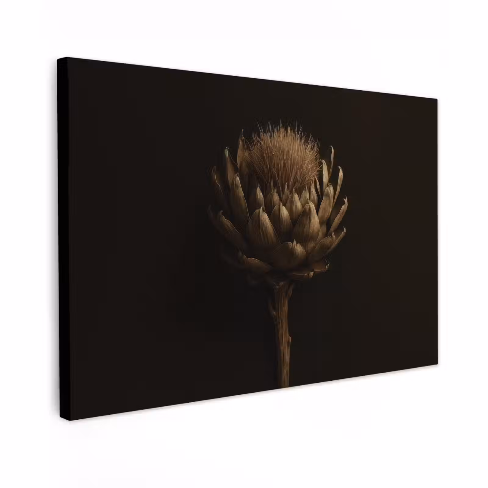 Canvas schilderij - Donkerbruin - Bloem - Textuur - Artisjok — 1