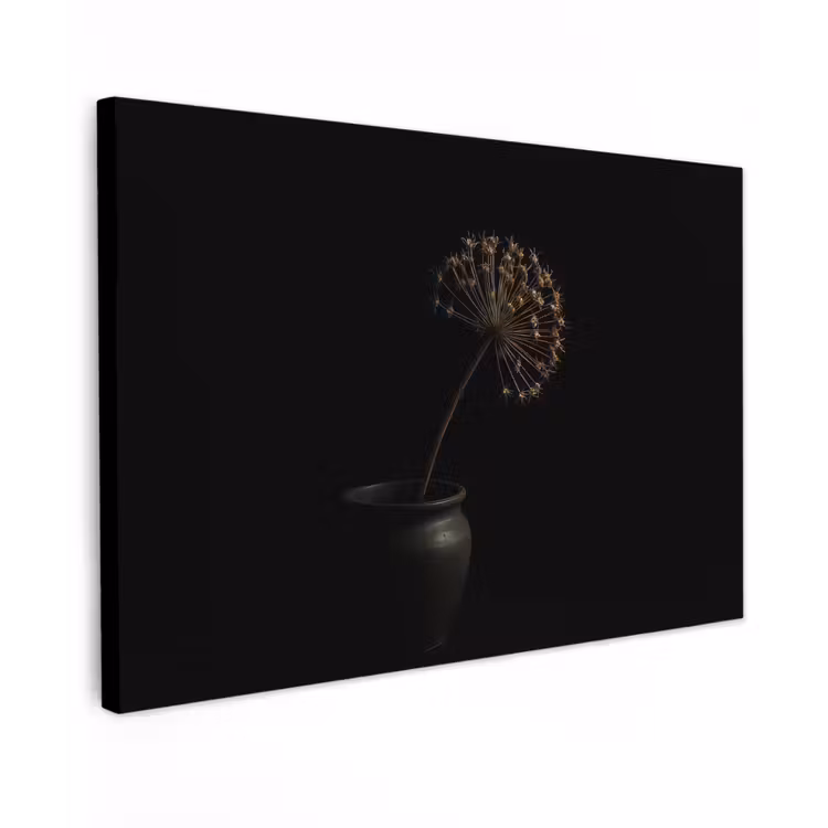 Canvas schilderij - Bol - Gedroogd - Vaas - Zwart — 1