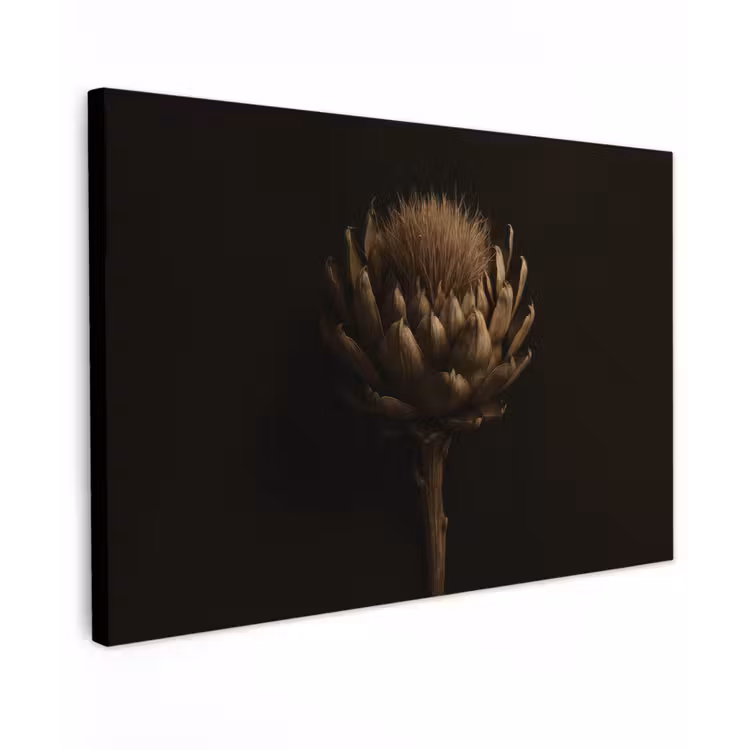 Canvas schilderij - Donkerbruin - Bloem - Textuur - Artisjok — 1