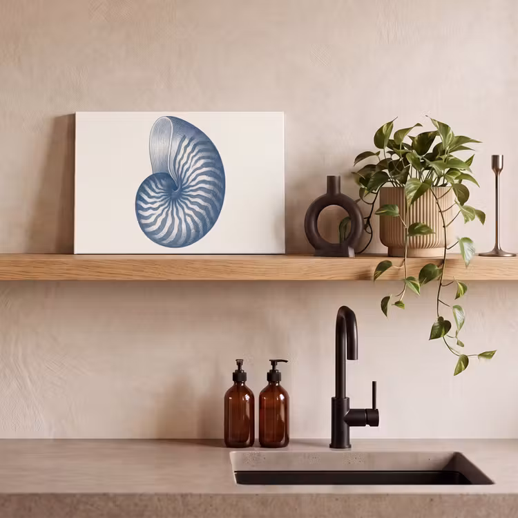 Canvas schilderij - Blauw - Schelp - Spiraal — 3