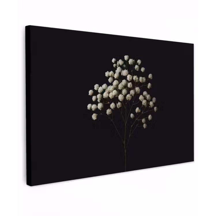 Canvas schilderij - Gipskruid - Bloemetjes - Wit - Minimalistisch — 1