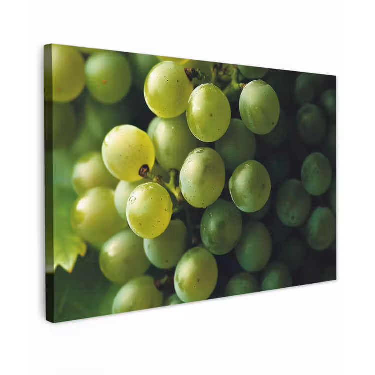 Canvas schilderij - Druiven - Tros - Groen — 1