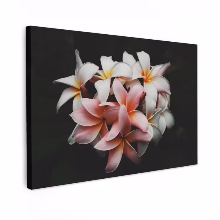 Canvas schilderij - Bloemen - Roze - Zwart - Flora - Botanisch — 1