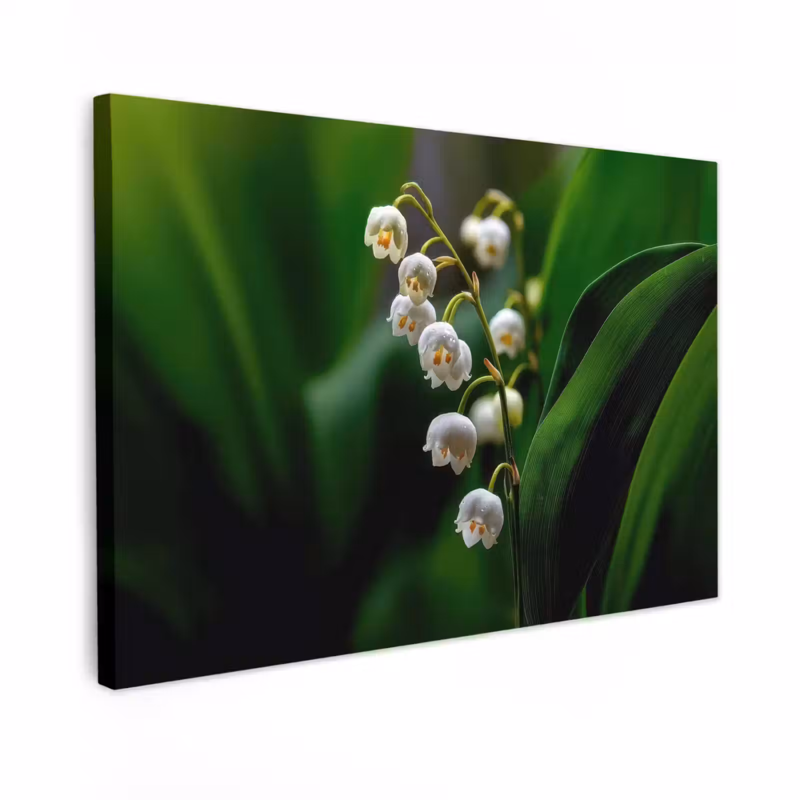 Canvas schilderij - Bloemen - Wit - Bladeren - Lelietjes — 1