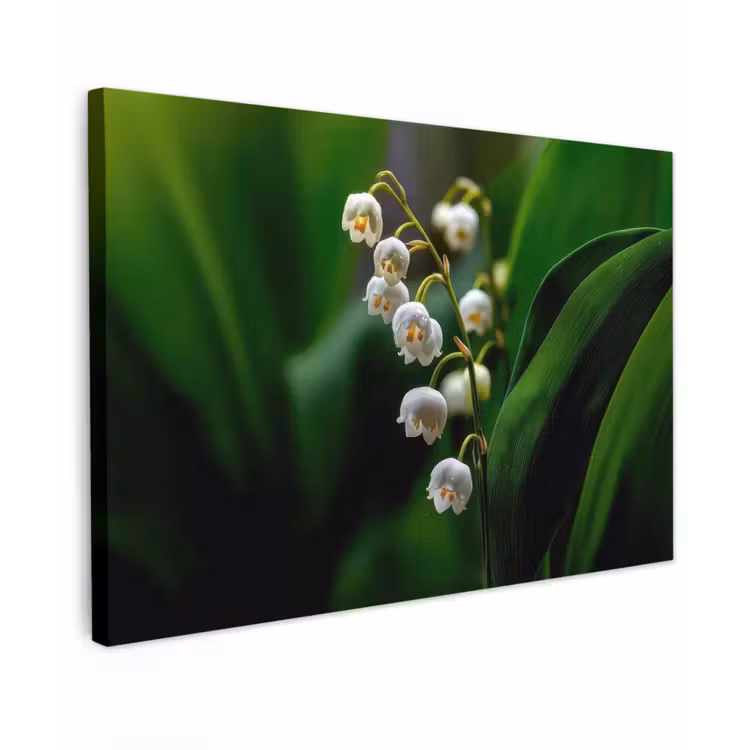 Canvas schilderij - Bloemen - Wit - Bladeren - Lelietjes — 1