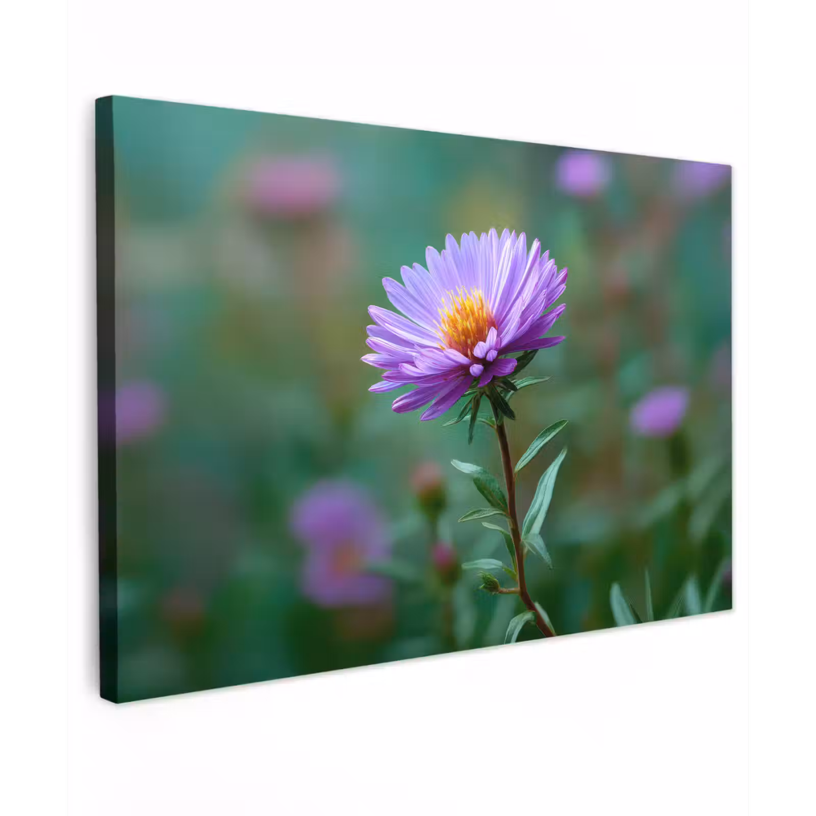 Canvas schilderij - Aster - Paars - Bloem - Blaadjes — 1