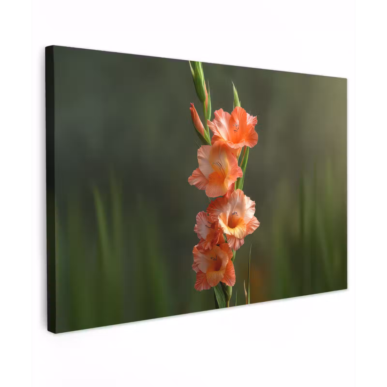 Canvas schilderij - Bloem - Gladiolen - Zalmroze — 1