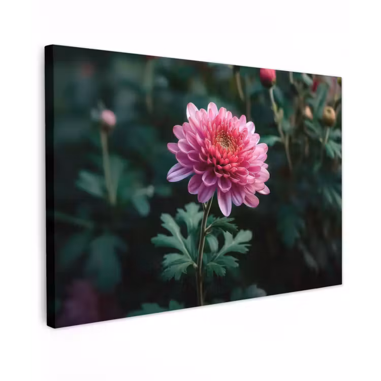 Canvas schilderij - Blad - Chrysant - Roze - Schaduw — 1