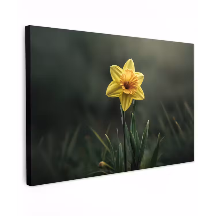 Canvas schilderij - Bloem - Narcis - Gras - Geel — 1