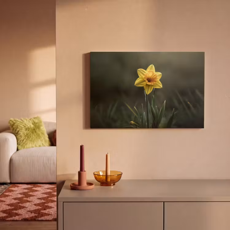 Canvas schilderij - Bloem - Narcis - Gras - Geel — 2