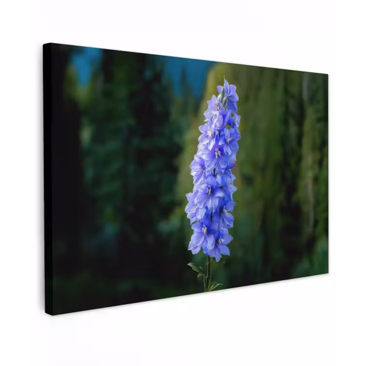 Canvas schilderij - Bloemen - Blauw - Dennenboom — 1