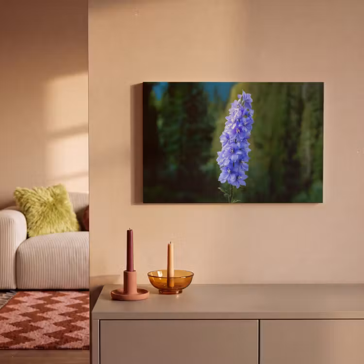 Canvas schilderij - Bloemen - Blauw - Dennenboom — 2