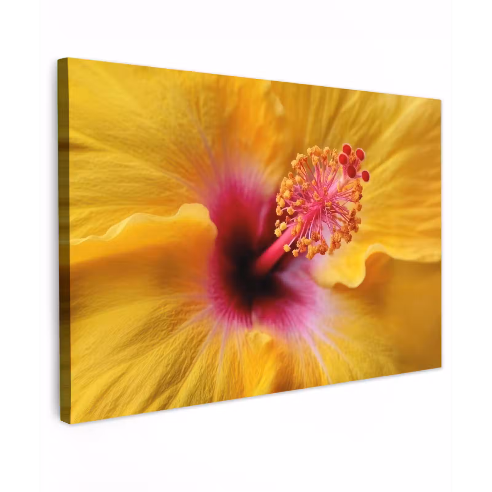 Canvas schilderij - Geel - Hibiscus - Tropisch — 1