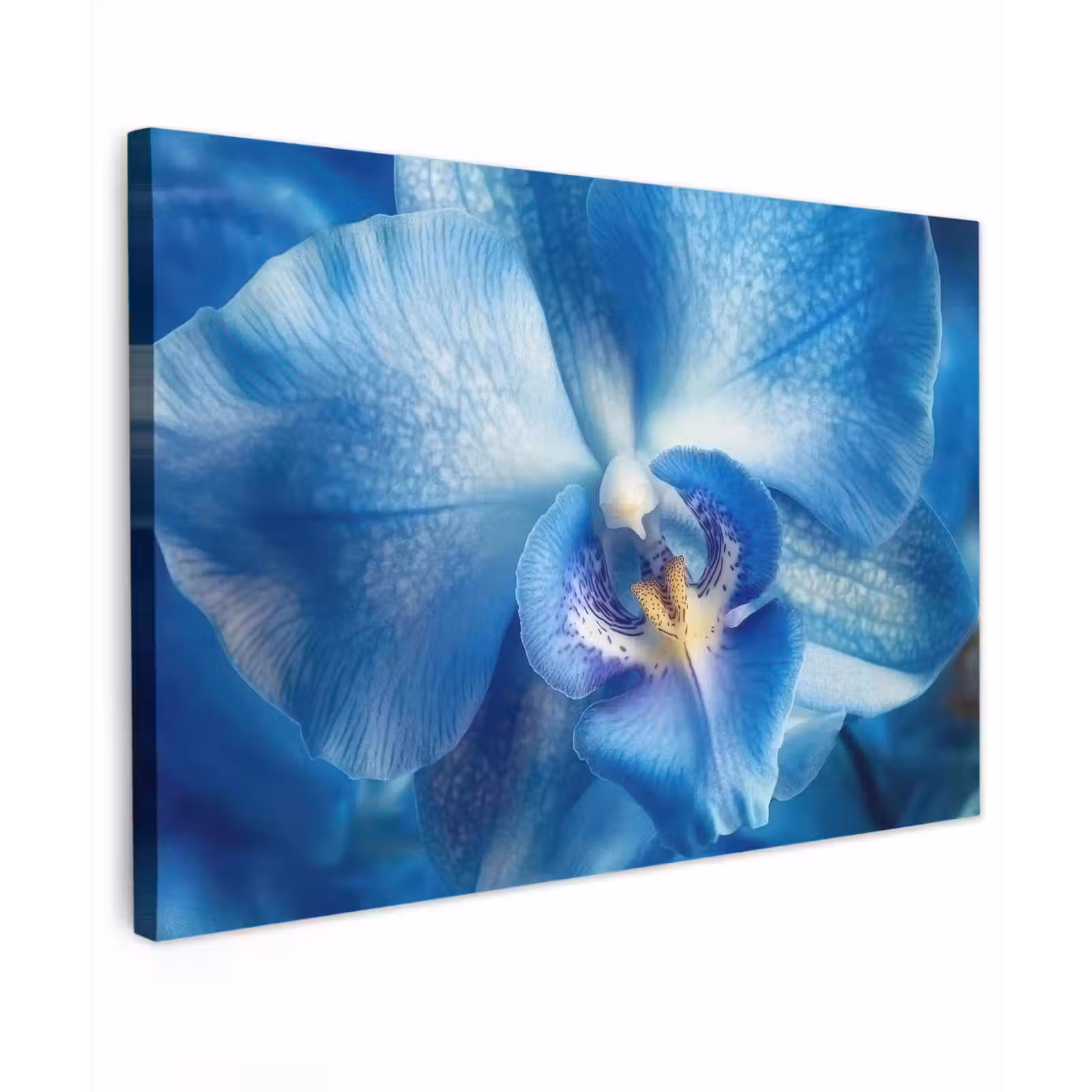 Canvas schilderij - Blauw - Orchidee - Elegeant — 1