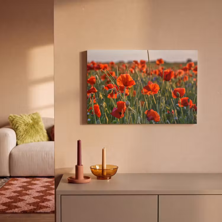 Canvas schilderij - Bloemen - Klaprozen - Natuur - Rood — 2