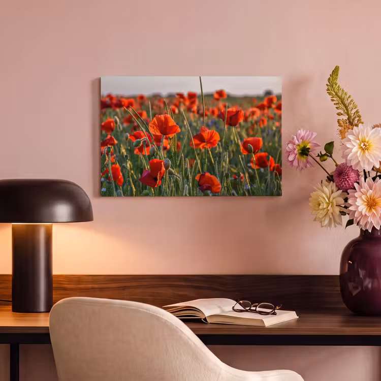 Canvas schilderij - Bloemen - Klaprozen - Natuur - Rood — 4
