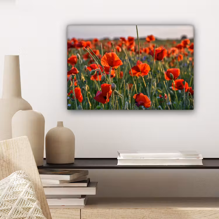 Canvas schilderij - Bloemen - Klaprozen - Natuur - Rood — 5