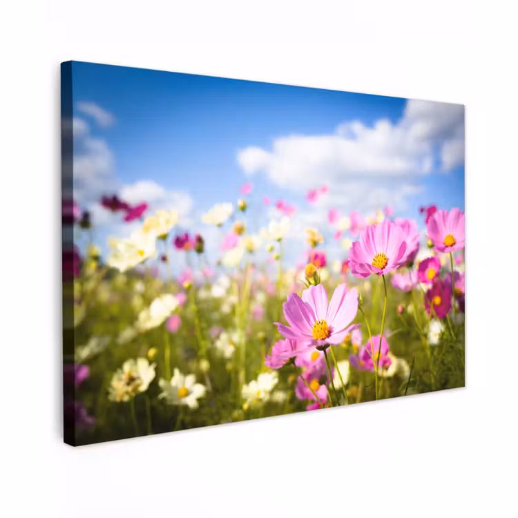 Canvas schilderij - Bloemen - Wei - Paars - Gras - Wit - Wolken - Blauw — 1