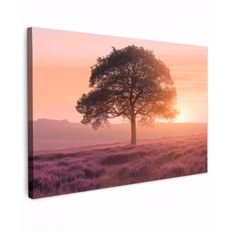 Canvas schilderij - Boom - Heide - Zonsopgang — 1
