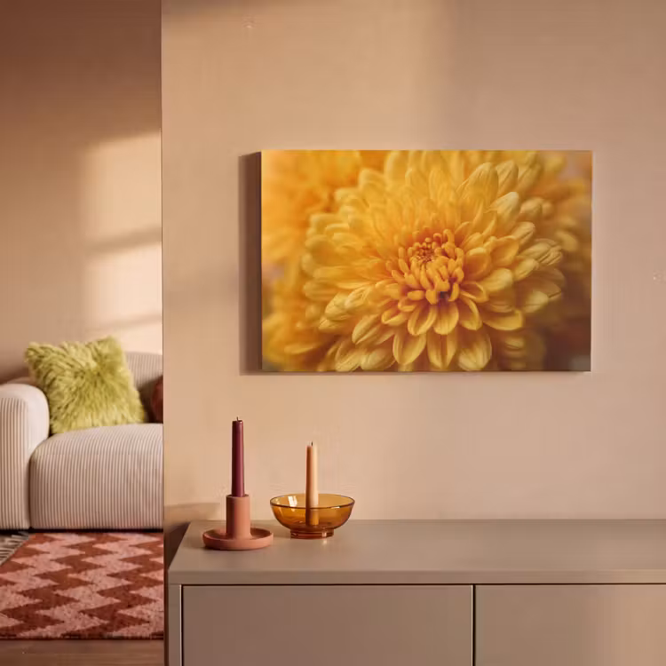 Canvas schilderij - Geel - Chrysant - Zachtheid — 2