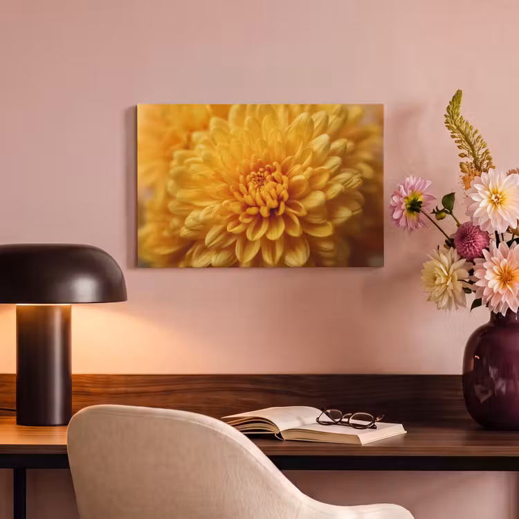 Canvas schilderij - Geel - Chrysant - Zachtheid — 4