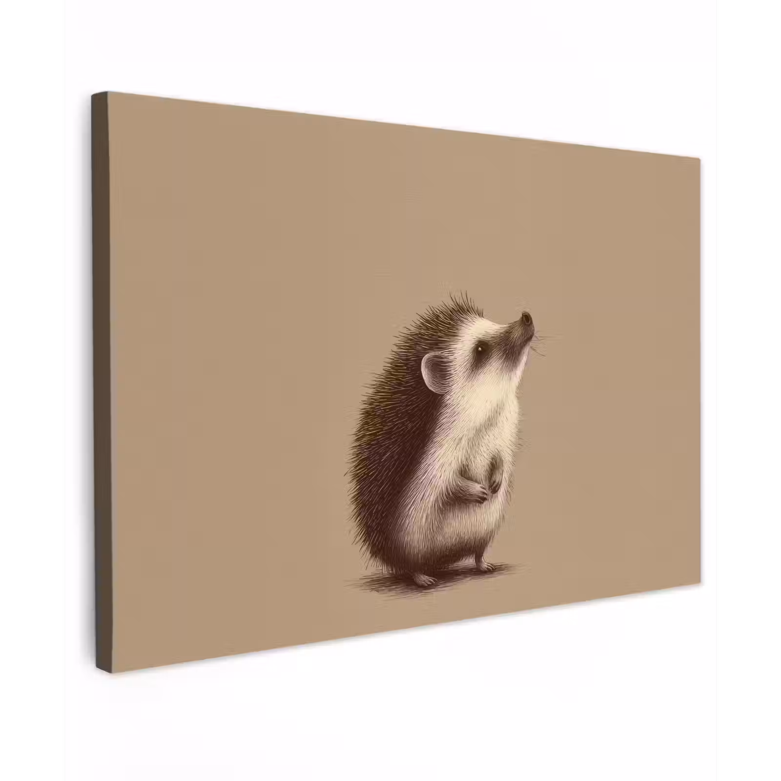 Canvas schilderij - Egel - Snuitje - Bruin - Stekels — 1