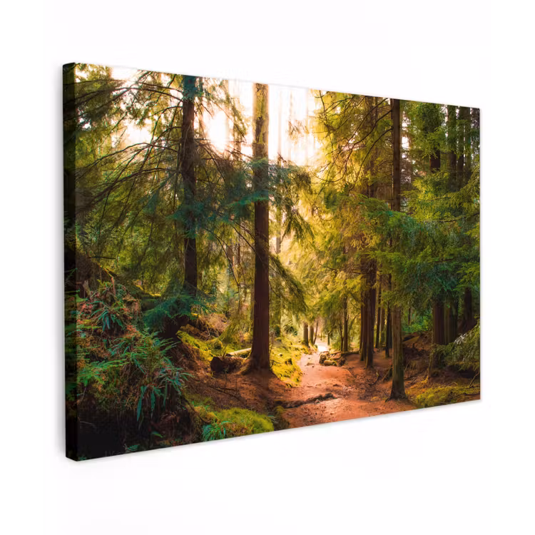 Canvas schilderij - Bos - Pad - Bomen - Groen - Zon - Natuur — 1