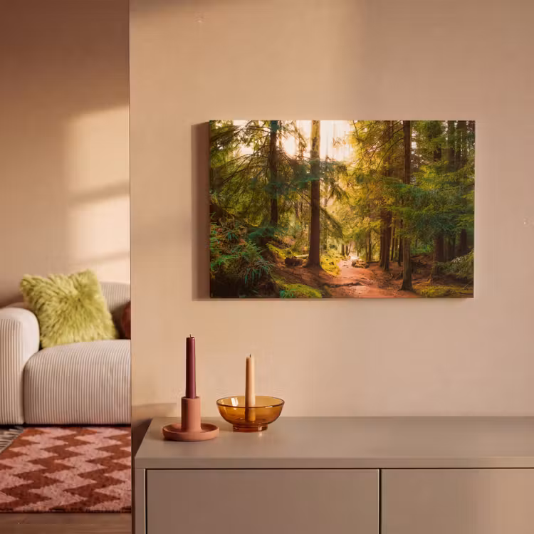 Canvas schilderij - Bos - Pad - Bomen - Groen - Zon - Natuur — 2