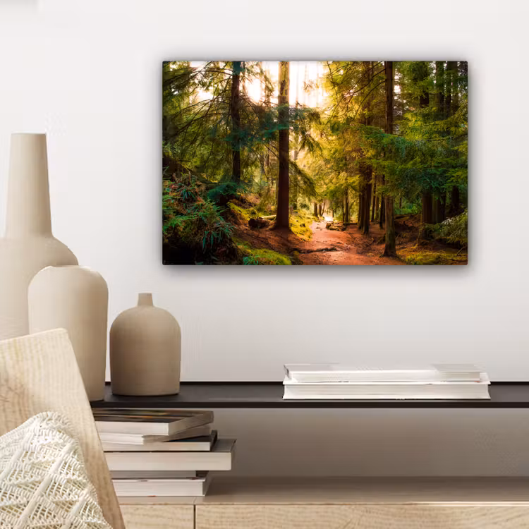 Canvas schilderij - Bos - Pad - Bomen - Groen - Zon - Natuur — 5