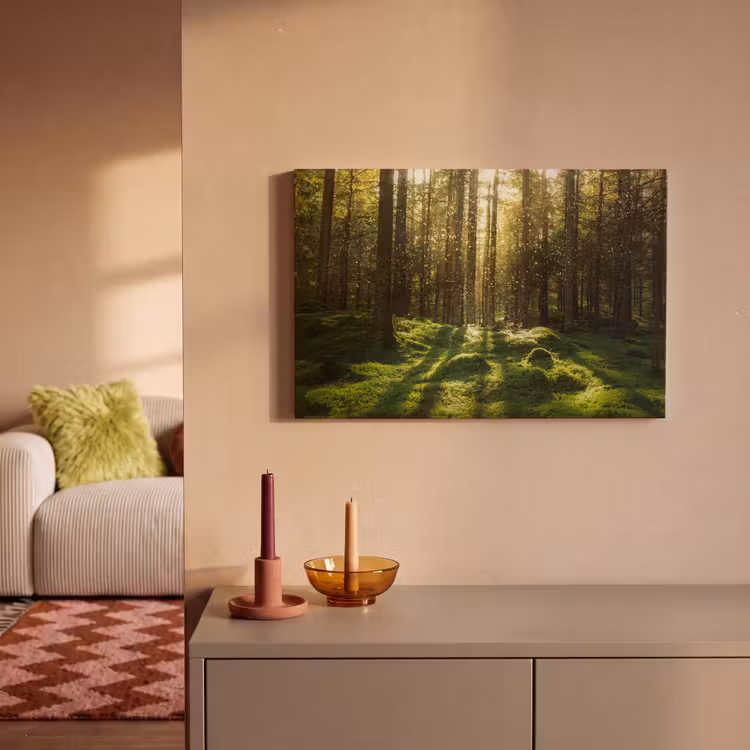 Canvas schilderij - Bomen - Bos - Mos - Planten - Zon - Natuur — 2