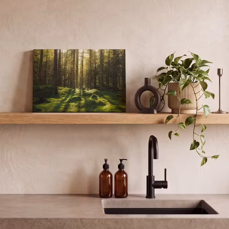 Canvas schilderij - Bomen - Bos - Mos - Planten - Zon - Natuur — 3