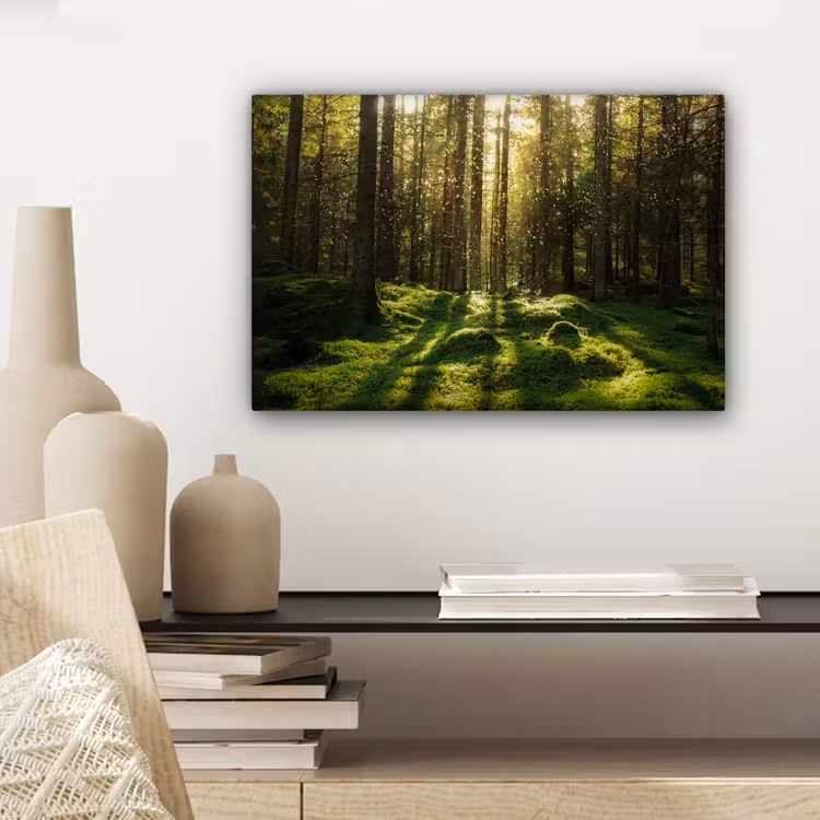 Canvas schilderij - Bomen - Bos - Mos - Planten - Zon - Natuur — 5
