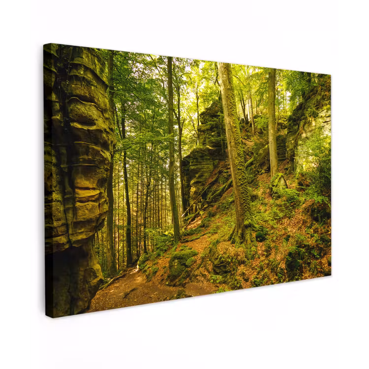 Canvas schilderij - Bomen - Steen - Bos - Natuur - Planten — 1