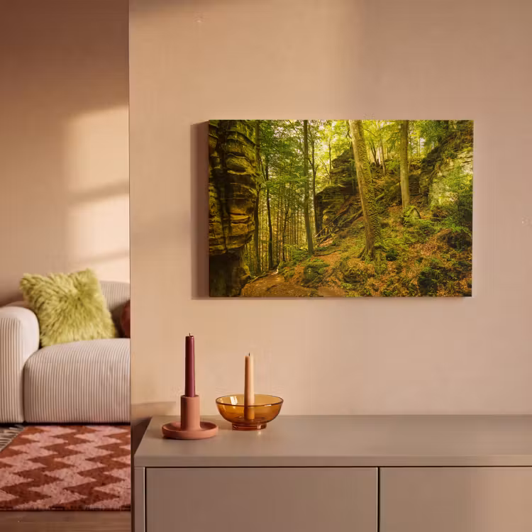 Canvas schilderij - Bomen - Steen - Bos - Natuur - Planten — 2