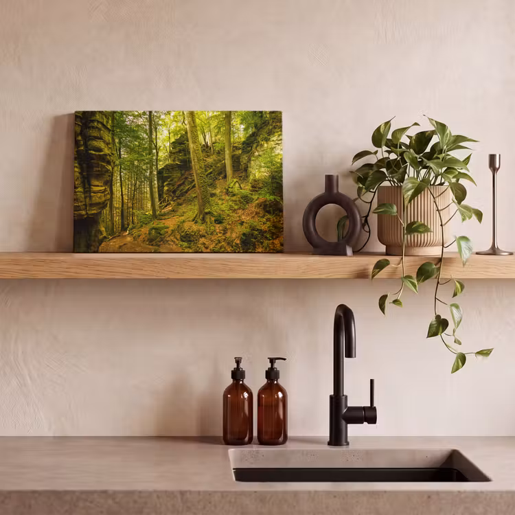 Canvas schilderij - Bomen - Steen - Bos - Natuur - Planten — 3