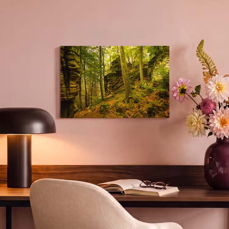 Canvas schilderij - Bomen - Steen - Bos - Natuur - Planten — 4