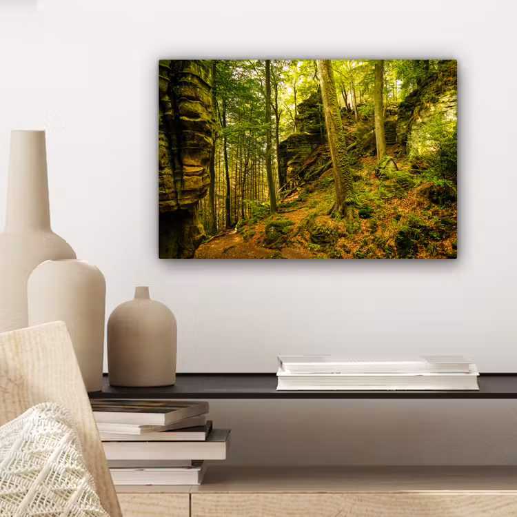 Canvas schilderij - Bomen - Steen - Bos - Natuur - Planten — 5