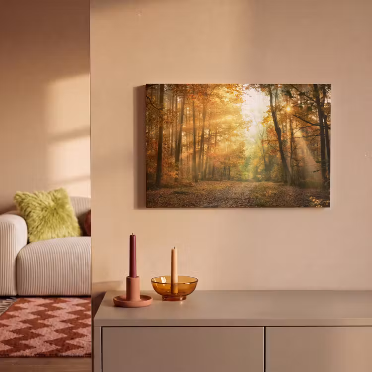 Canvas schilderij - Bos - Herfst - Zon - Landschap - Natuur - Bomen - Bladeren — 2