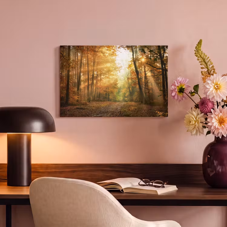 Canvas schilderij - Bos - Herfst - Zon - Landschap - Natuur - Bomen - Bladeren — 4